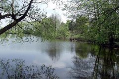 Grossansicht in neuem Fenster: Eichinger Weiher