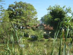 Grossansicht in neuem Fenster: Schwaigerbachweiher