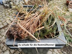 Bitte keine Gartenabfälle in die Restmülltonne!