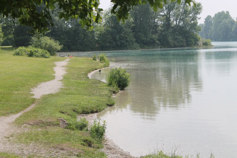 Hunde am Karlsfelder See von Oktober bis März – Es gilt eine Leinenpflicht