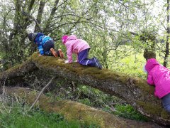 30 Jahre Engagement für Natur, Moor und Umweltbildung
