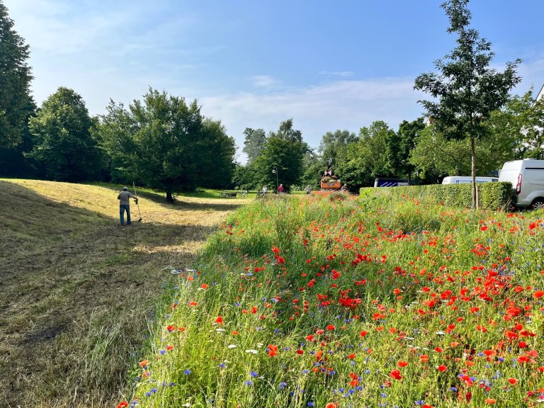 Karlsfeld blüht auf